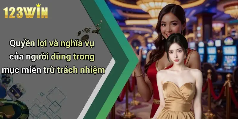 Quyền lợi và nghĩa vụ của người dùng trong mục miễn trừ trách nhiệm